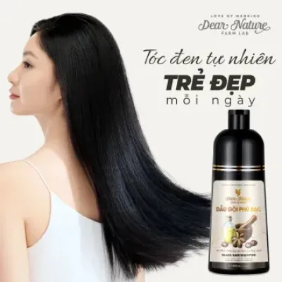 Đánh giá Dầu gội phủ bạc đen tóc, dùng có hại cho tóc không?